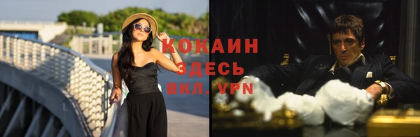 сатива Покров