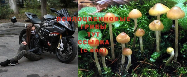 трава Балахна
