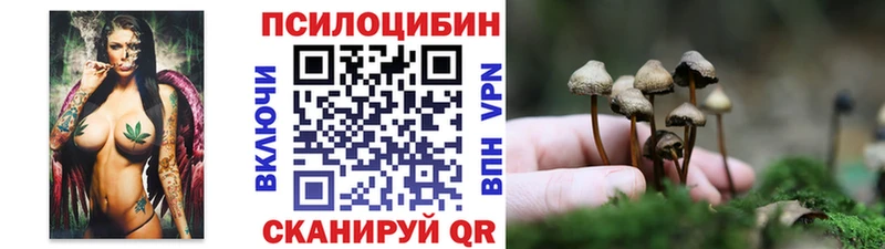 Галлюциногенные грибы прущие грибы  Пересвет 
