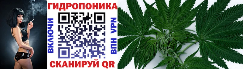 Бошки Шишки White Widow  Пересвет 